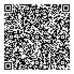 QR Code 3